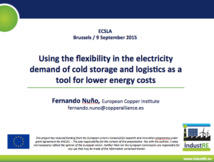 Flexibilité des besoins en électricité - Sondage européen