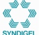 Conférence Nicolas BOUZOU - AG Syndigel le 21 mars 2014